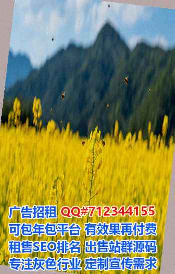 九龙坡代怀品牌策划公司
